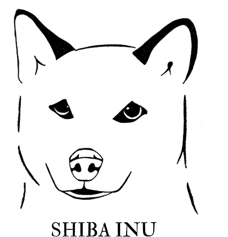 Shiba Inu