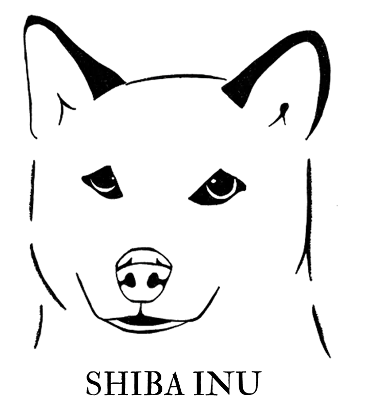 Shiba Inu